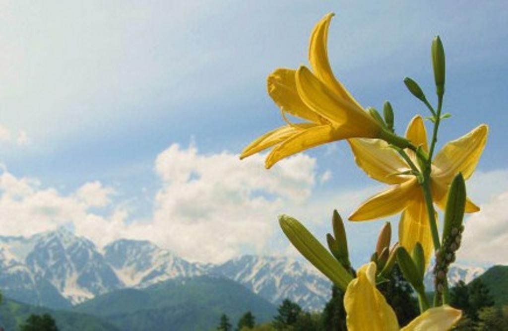 Pension Blue Χακούμπα Εξωτερικό φωτογραφία